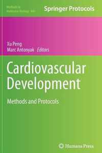 Cardiovascular Development