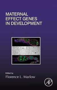 Maternal Effect Genes In Development