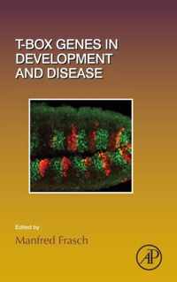 T-box Genes in Development and Disease