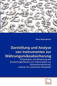 Darstellung und Analyse von Instrumenten zur Wahrungsrisikoabsicherung