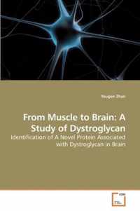 From Muscle to Brain