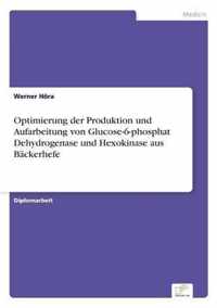 Optimierung der Produktion und Aufarbeitung von Glucose-6-phosphat Dehydrogenase und Hexokinase aus Backerhefe