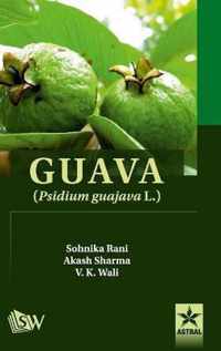 Guava