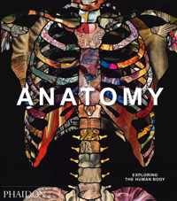 Anatomy: Exploring the Human Body