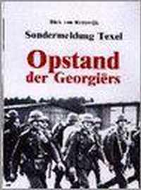 Opstand der GeorgiÃ«rs