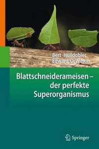 Blattschneiderameisen Der Perfekte Superorganismus