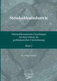 Steinkohlenindustrie (Band 2)