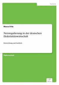 Netzregulierung in der deutschen Elektrizitatswirtschaft