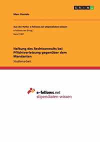 Haftung des Rechtsanwalts bei Pflichtverletzung gegenuber dem Mandanten