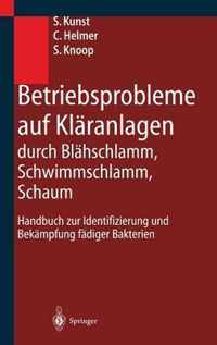 Betriebsprobleme auf Klaranlagen durch Blahschlamm, Schwimmschlamm, Schaum