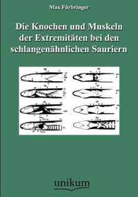 Die Knochen und Muskeln der Extremitaten bei den schlangenahnlichen Sauriern