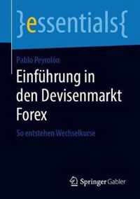 Einfuehrung in den Devisenmarkt Forex