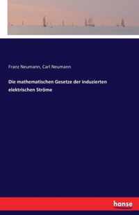 Die mathematischen Gesetze der induzierten elektrischen Stroeme