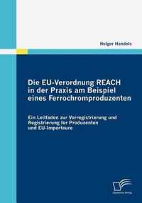 Die EU-Verordnung REACH in der Praxis am Beispiel eines Ferrochromproduzenten: Ein Leitfaden zur Vorregistrierung und Registrierung für Produzenten un