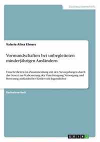 Vormundschaften bei unbegleiteten minderjahrigen Auslandern