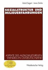 Sozialstruktur und Milieuerfahrungen