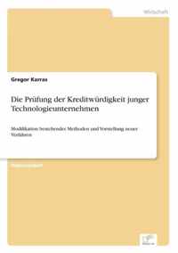 Die Prufung der Kreditwurdigkeit junger Technologieunternehmen