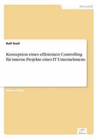 Konzeption eines effizienten Controlling fur interne Projekte eines IT Unternehmens