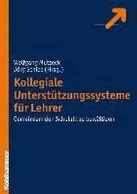 Kollegiale Unterstutzungssysteme Fur Lehrer