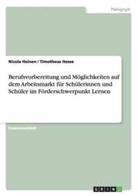 Berufsvorbereitung und Moeglichkeiten auf dem Arbeitsmarkt fur Schulerinnen und Schuler im Foerderschwerpunkt Lernen