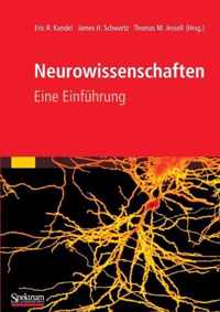 Neurowissenschaften