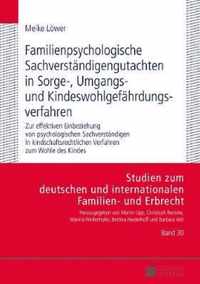 Familienpsychologische Sachverstaendigengutachten in Sorge-, Umgangs- und Kindeswohlgefaehrdungsverfahren