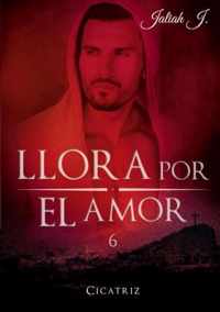 Llora por el amor 6