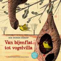 Van bijenflat tot vogelvilla