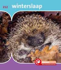 De Kijkdoos 212 -   Winterslaap