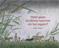 Waar gaan de dieren naartoe als het regent?