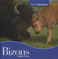 Dierenfamilies  -   Bizons