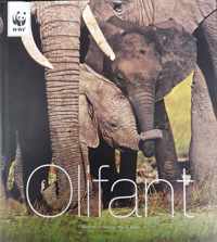 Olifant