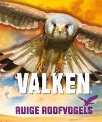 Ruige roofvogels  -   Valken