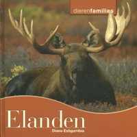 Dierenfamilies  -   Elanden