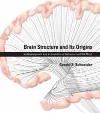 Brain Structure and Its Origins