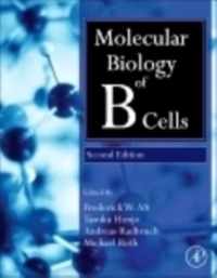 Molecular Biology of B Cells