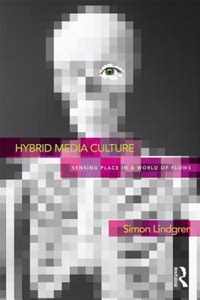 Hybrid Media Culture