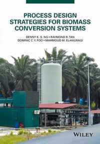 Process Design Strategies for Biomass Conversion Systems