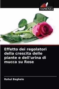 Effetto dei regolatori della crescita delle piante e dell'urina di mucca su Rose