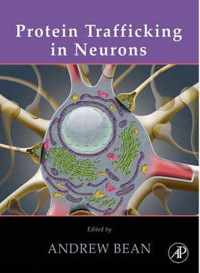 Protein Trafficking in Neurons