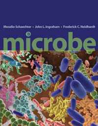 Microbe