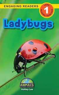 Ladybugs