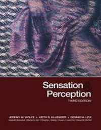 Sensation And Perception