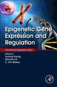 Epigenetic Gene Expression and Regulation