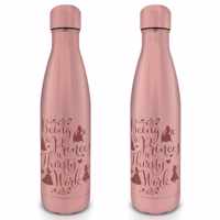 Disney Princess Thirsty Work - Metalen Drink Fles