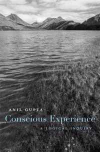 Conscious Experience  A Logical Inquiry