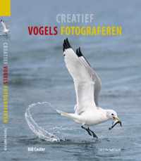 Creatief Vogels Fotograferen