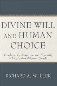 Divine Will and Human Choice