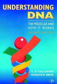 Understanding DNA