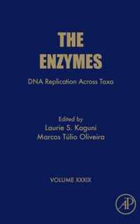 DNA Replication Across Taxa